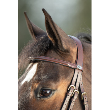 Bridon HFI Regular Castanho
