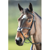 Bridon Mexican HFI Preto