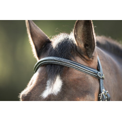 Bridon Mexican HFI Preto