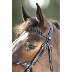 Bridon Mexican HFI Preto