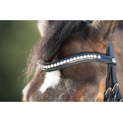 Bridon Shiny HFI Preto