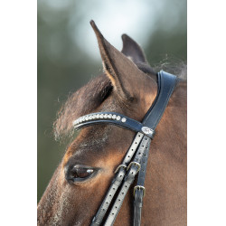 Bridon Shiny HFI Preto