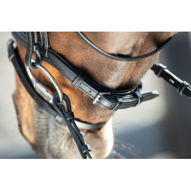 Bridon Soft HFI Preto