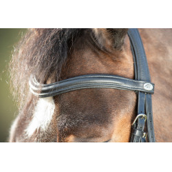 Bridon Soft HFI Preto