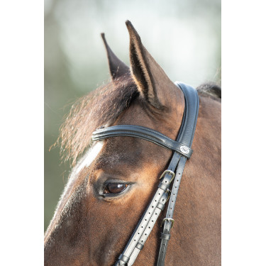 Bridon Soft HFI Preto