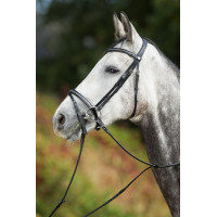Bridon Sparkly HFI Preto