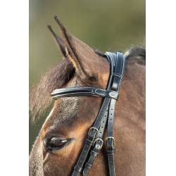 Bridon Técnico HFI Preto