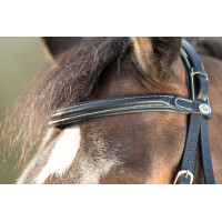 Bridon Técnico HFI Preto