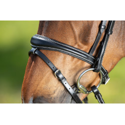 Bridon Técnico HFI Preto