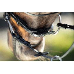 Bridon Técnico HFI Preto