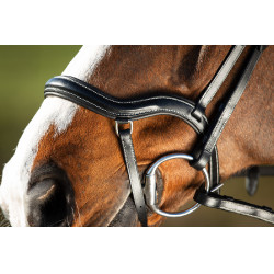 Bridon Techno HFI Preto Bridon Techno HFI Preto