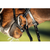 Bridon Techno HFI Preto