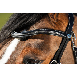 Bridon Techno HFI Preto Bridon Techno HFI Preto