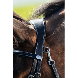 Bridon Techno HFI Preto Bridon Techno HFI Preto