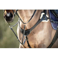 Peitoral de 5 pontos HFI Preto