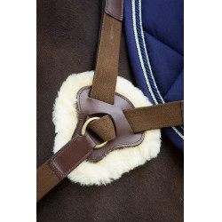 Peitoral de 5 pontos HFI Castanho