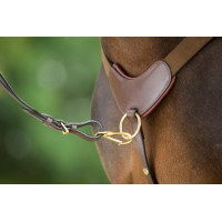 Peitoral de 5 pontos HFI Castanho