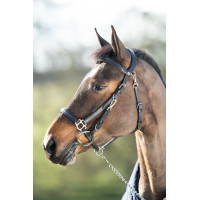 Kombination Trense / Halfter HFI Preto