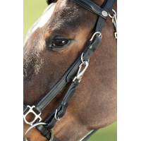 Kombination Trense / Halfter HFI Preto