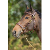 Kombination Trense / Halfter HFI Preto