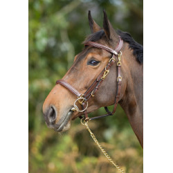 Kombination Trense / Halfter HFI Castanho