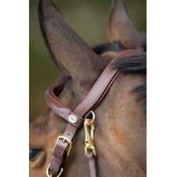 Kombination Trense / Halfter HFI Castanho