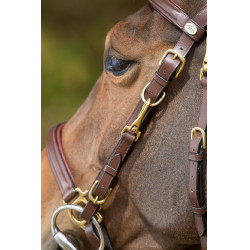 Kombination Trense / Halfter HFI Castanho