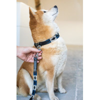 Coleira para cão Polo HFI Preto / azul-marinho / prateado Motivos Coleira para cão Polo HFI Preto / azul-marinho / prateado Motivos