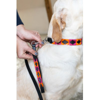 Coleira para cão Polo HFI Preto / laranja / rosa Motivos