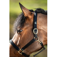 Caveção arredondado HFI Preto Caveção arredondado HFI Preto