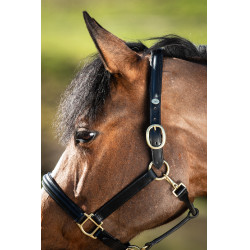 Caveção arredondado HFI Preto