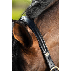 Caveção arredondado HFI Preto