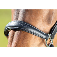 Cabresto de grooming HFI Preto Cabresto de grooming HFI Preto