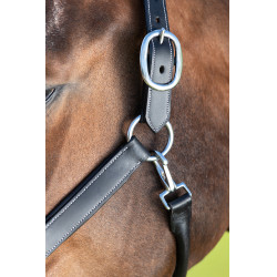 Cabresto de grooming HFI Preto Cabresto de grooming HFI Preto