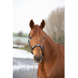 Licol HFI Polo Preto / azul-marinho / prateado Motivos