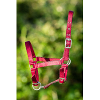 Cabresto de Nylon HFI para Potro Bordéus Bordô Cabresto de Nylon HFI para Potro Bordéus Bordô