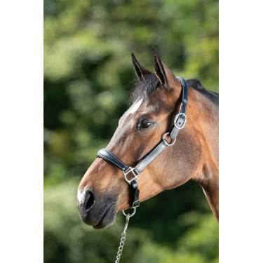 Cabresto de grooming HFI Preto