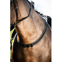 Bricole elástica simples...