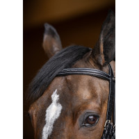 Bridão de salto HFI Master duplo salto Preto