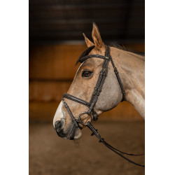 Bridão Combinado Flex HFI Master Castanho