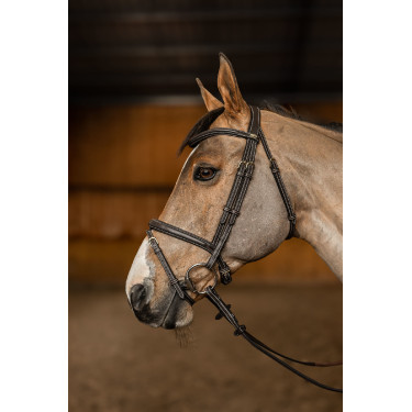 Bridão Combinado Flex HFI Master Castanho