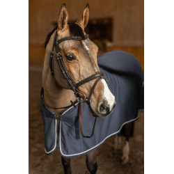 Bridão Combinado Flex HFI Master Castanho