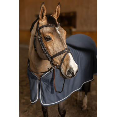 Bridão Combinado Flex HFI Master Castanho