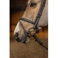 Bridão Combinado Flex HFI Master Preto