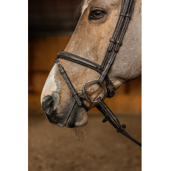 Bridão Combinado Flex HFI Master Castanho