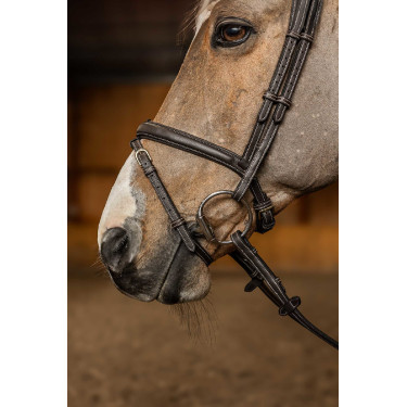 Bridão Combinado Flex HFI Master Castanho