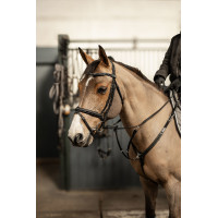 Bridão combinado Milano HFI Master Pro Line Preto / prata