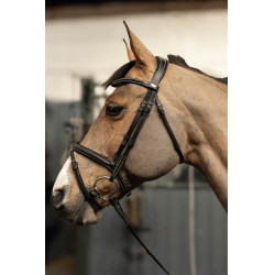 Bridão combinado Milano HFI Master Pro Line Preto / prata Bridão combinado Milano HFI Master Pro Line Preto / prata