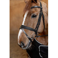 Bridão Combinado Padded HFI Master Preto