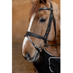 Bridão Combinado Padded HFI Master
